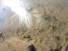 Milo Thesiger-Meacham: Body Edit Mind, Gopro Beach 4