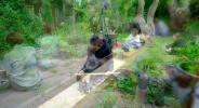 singing_string_ensemble